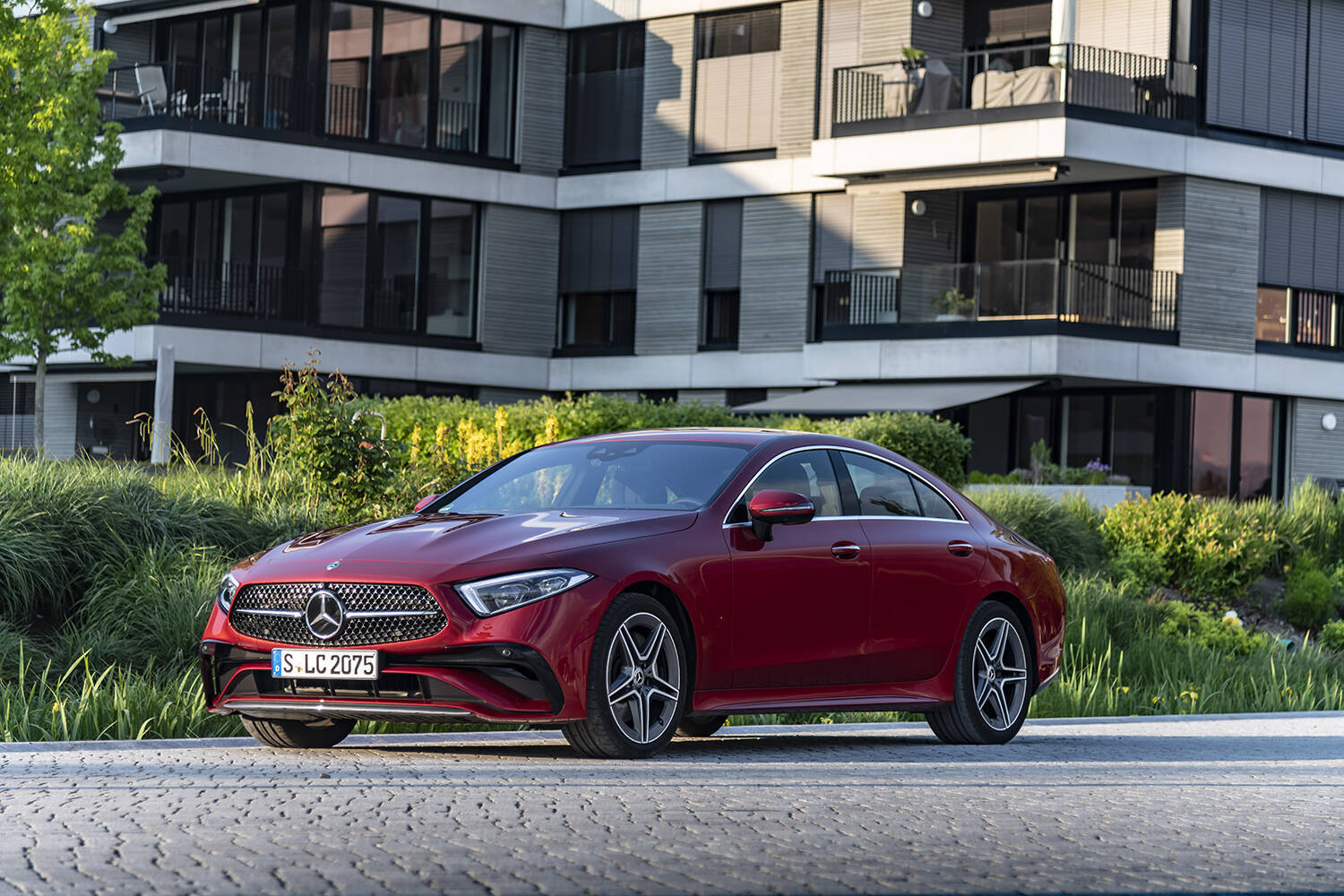 クリスマスシーズン最強！　車内で星空ってマジか！　光の演出がヤバすぎる「イルミネーション」採用車５選