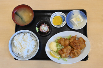 湘南だけど海鮮じゃなく肉を爆食い！　汁まで飲み干し必至のレバニラもサクサク唐揚げも絶品な「高砂食堂」に打ち抜かれた【Ｐ専食堂】