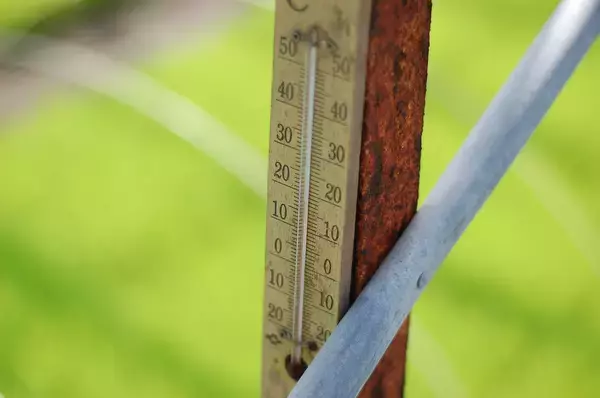 「猛暑のなかの旧車は灼熱地獄！　それでも乗りたいオーナーの涙ぐましい努力に乾杯!!」の画像