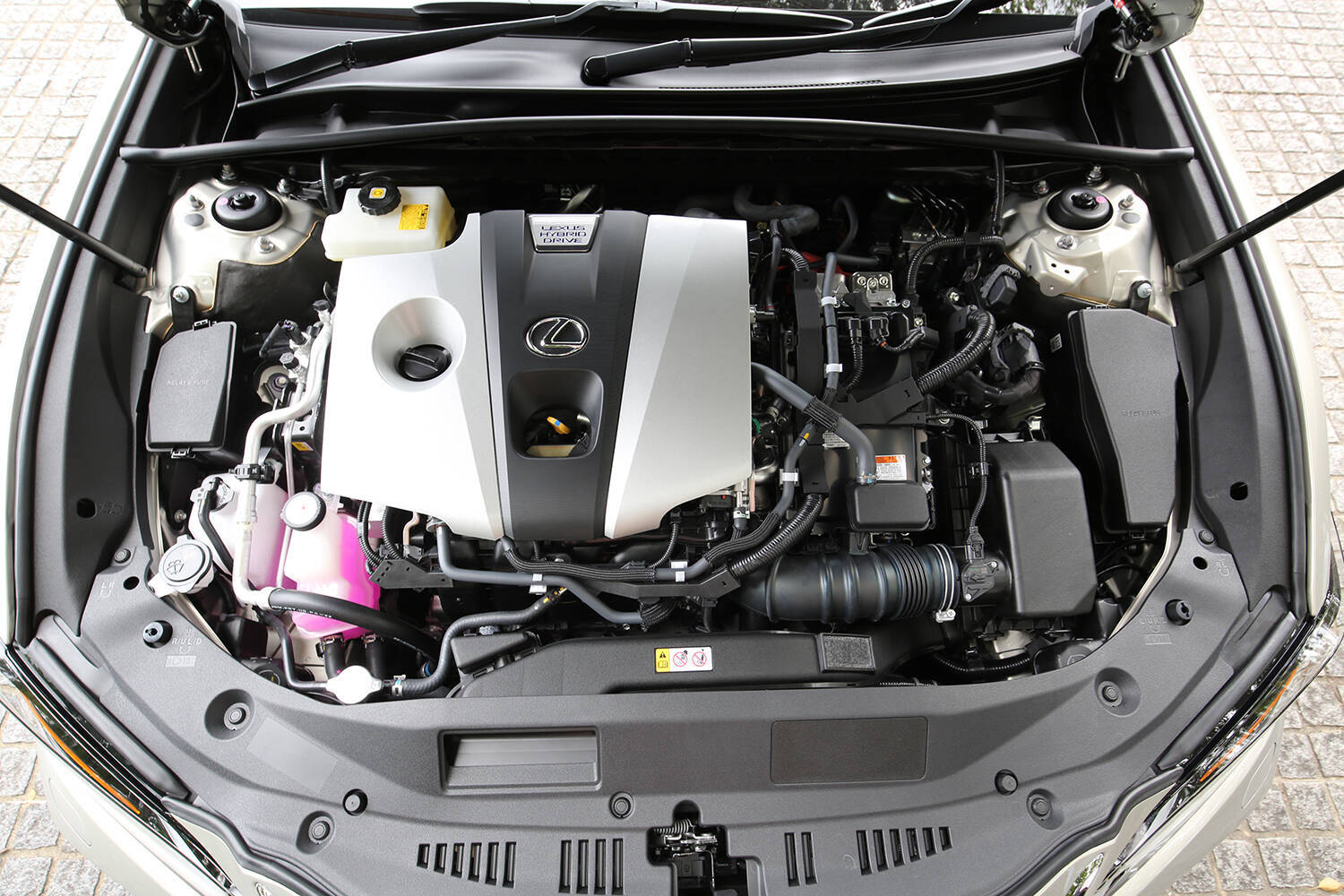 レクサスの現行セダンモデルを紹介！　安く購入するコツや中古車相場についても解説