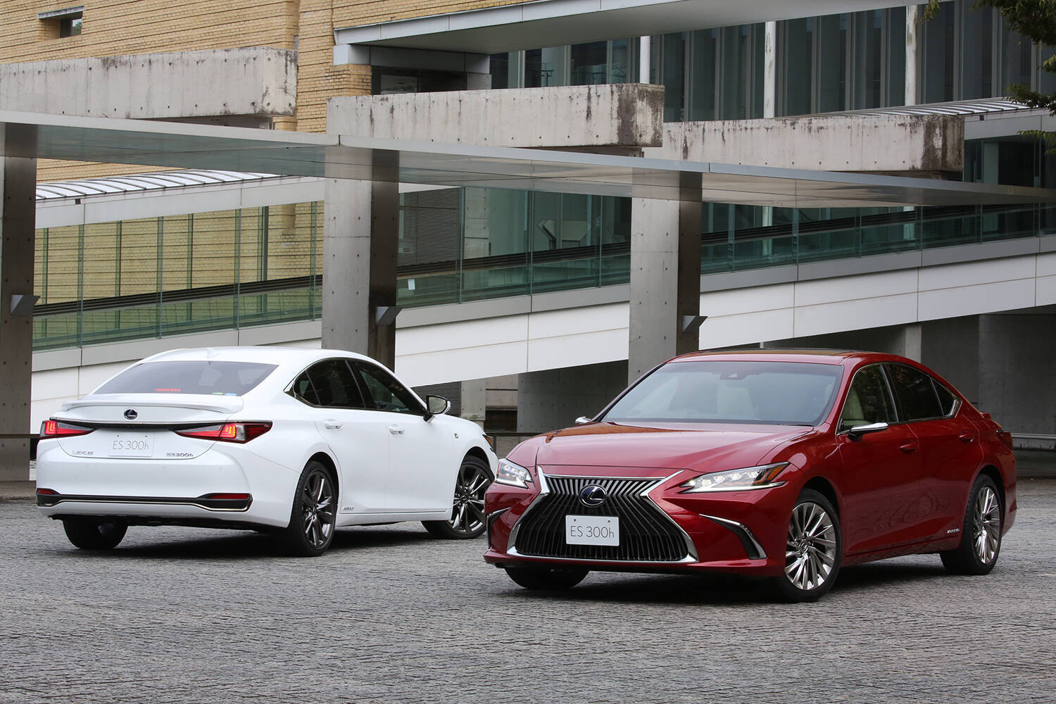 レクサスの現行セダンモデルを紹介！　安く購入するコツや中古車相場についても解説