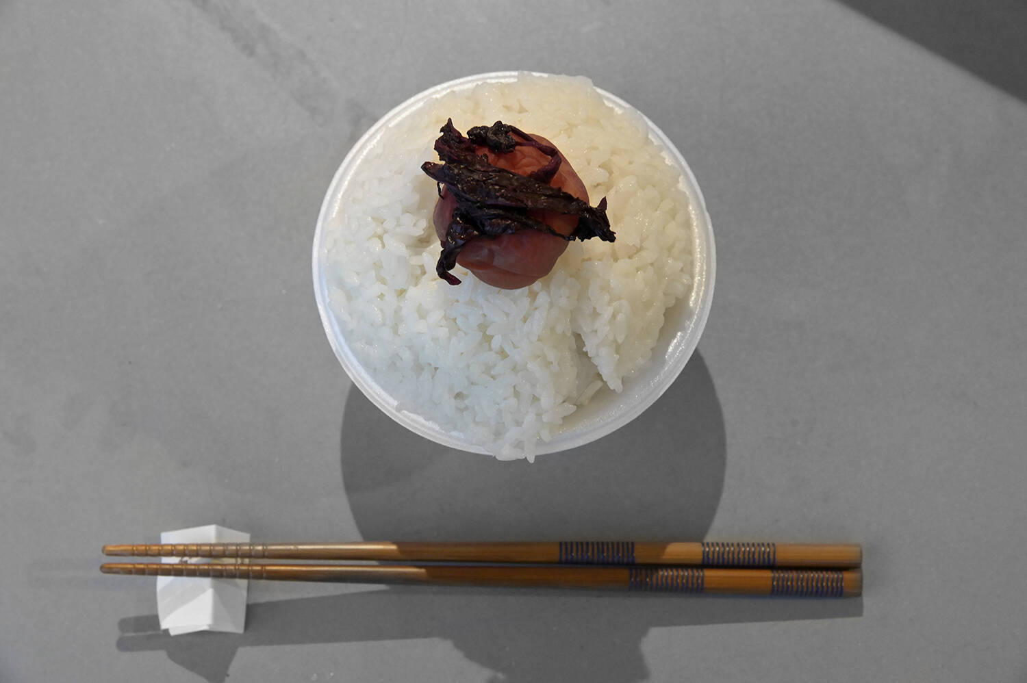 電気自動車なら米も炊けるぞっ！　ってわけでEVならではの旅の楽しみ方を提案！　WEB CARTOP編集部員が大阪→東京出張の間にSA・PAで「ご飯に合うおかず」を探して実食してみた