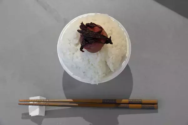 「電気自動車なら米も炊けるぞっ！　ってわけでEVならではの旅の楽しみ方を提案！　WEB CARTOP編集部員が大阪→東京出張の間にSA・PAで「ご飯に合うおかず」を探して実食してみた」の画像