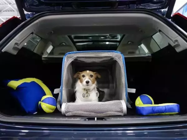 「大好きなペットでもクサいのはイヤ！　クルマに動物臭残さない方法と染みついた臭いをを消す方法」の画像