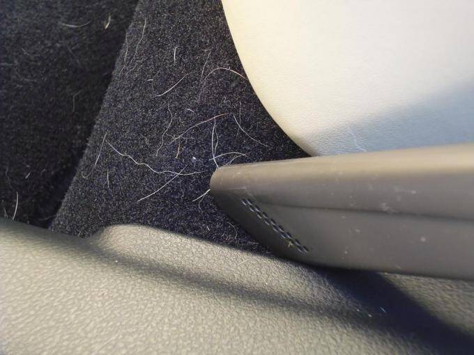 大好きなペットでもクサいのはイヤ！　クルマに動物臭残さない方法と染みついた臭いをを消す方法