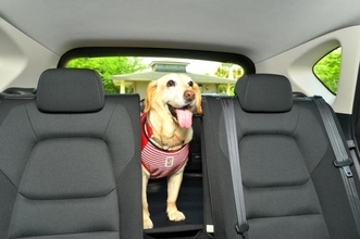 大好きなペットでもクサいのはイヤ！　クルマに動物臭残さない方法と染みついた臭いをを消す方法