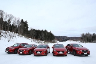 規模が大きすぎるために車種ごとのブランディングが効く！　世界的な「顔統一」の流れにトヨタが乗らないワケ