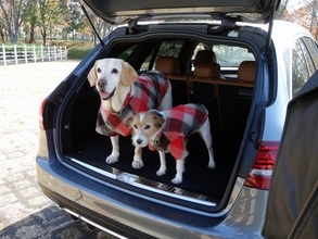 「重箱の隅」的だけどカーライフを左右するほど重要！　「荷室の段差」の有無で何が変わる？