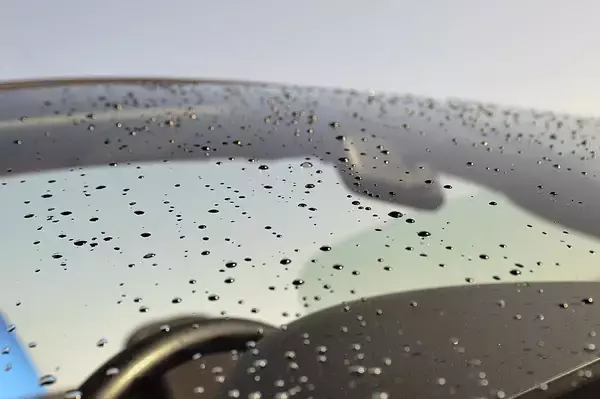 気がつけば車内はダニ＆カビの温床！　健康のためにも実施すべきクルマの梅雨対策５つ