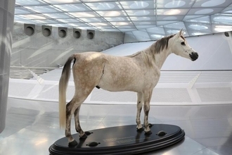 「馬」の時代は左側通行！　世界が右側・左側通行に二分されたワケ