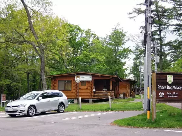 「犬も人も長距離ドライブ後に元気ハツラツ！　「タイヤだけでこんなに変わるのか」を実体験した」の画像