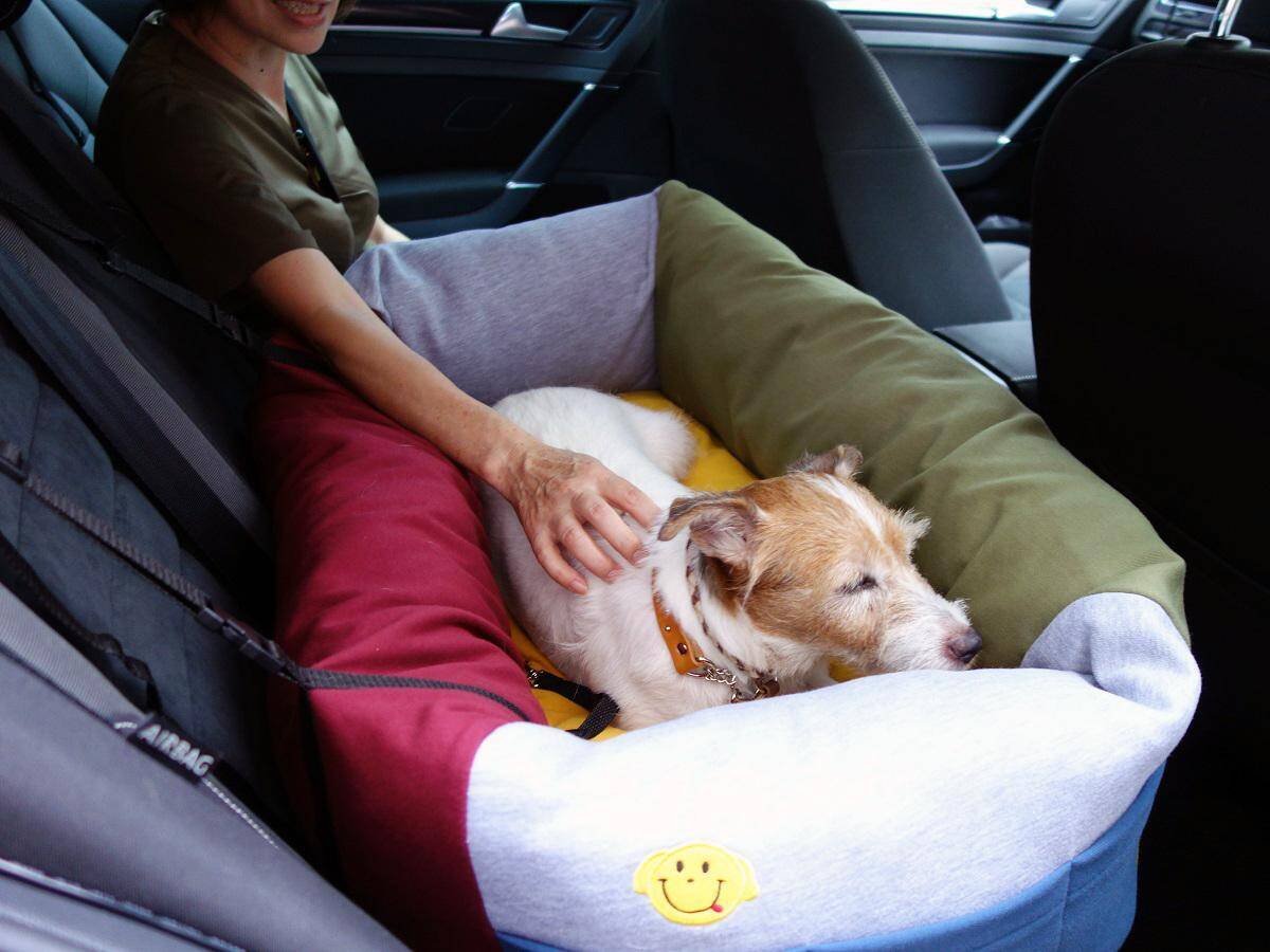 犬も人も長距離ドライブ後に元気ハツラツ！　「タイヤだけでこんなに変わるのか」を実体験した