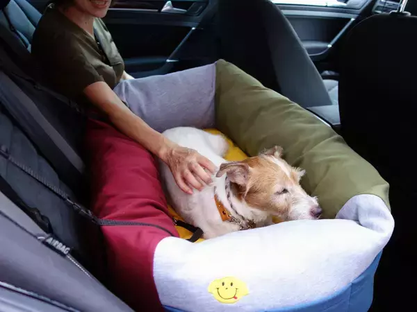 「犬も人も長距離ドライブ後に元気ハツラツ！　「タイヤだけでこんなに変わるのか」を実体験した」の画像