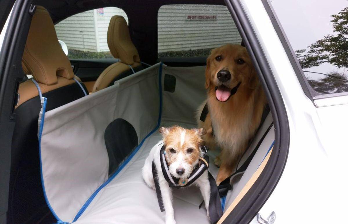 愛犬にも圧倒的な「安全」と「安心」を！ ボルボ純正の「ドッグベッド 