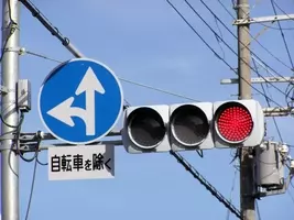 ついに ピカチュウが道路標識に 標識の意味が分かる人こそポケモンマスター 22年1月5日 エキサイトニュース