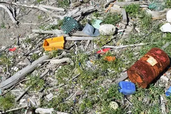 「クルマも素材から環境保全に取り組む時代！　それでも「脱プラスチック」に立ちはだかる「壁」とは」の画像