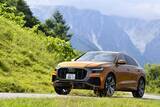 「【2021最新版】アウディの現行SUV“Qシリーズ”全5車種をご紹介　編集部のおすすめはコレだ！」の画像15