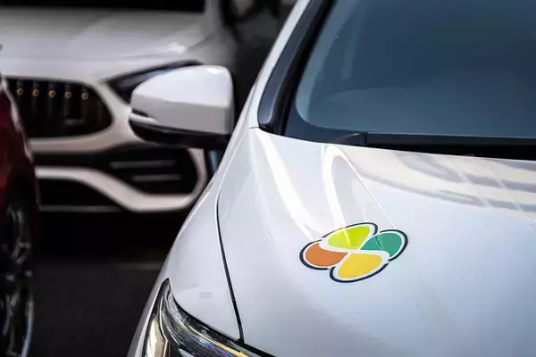 「若葉・四葉・蝶々・クローバー！　クルマに表示されるマークの意味と「やってはいけない」違反事項とは」の画像