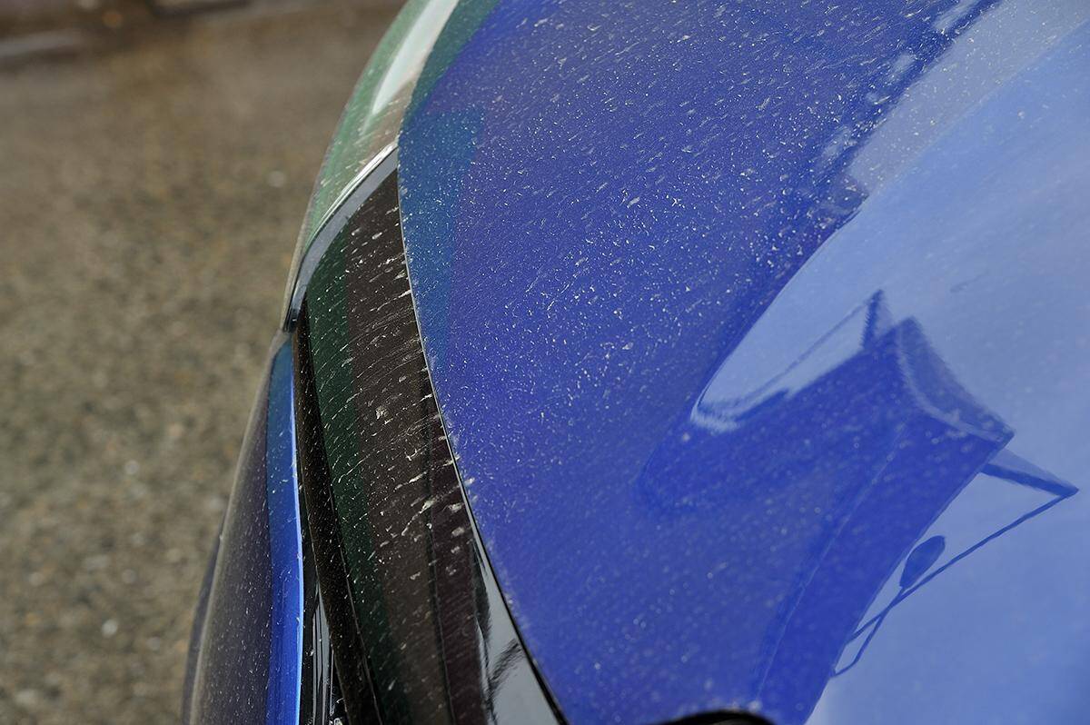 サボると取り返しが付かない事態に！　洗車をしないとクルマに起こる４つの致命傷