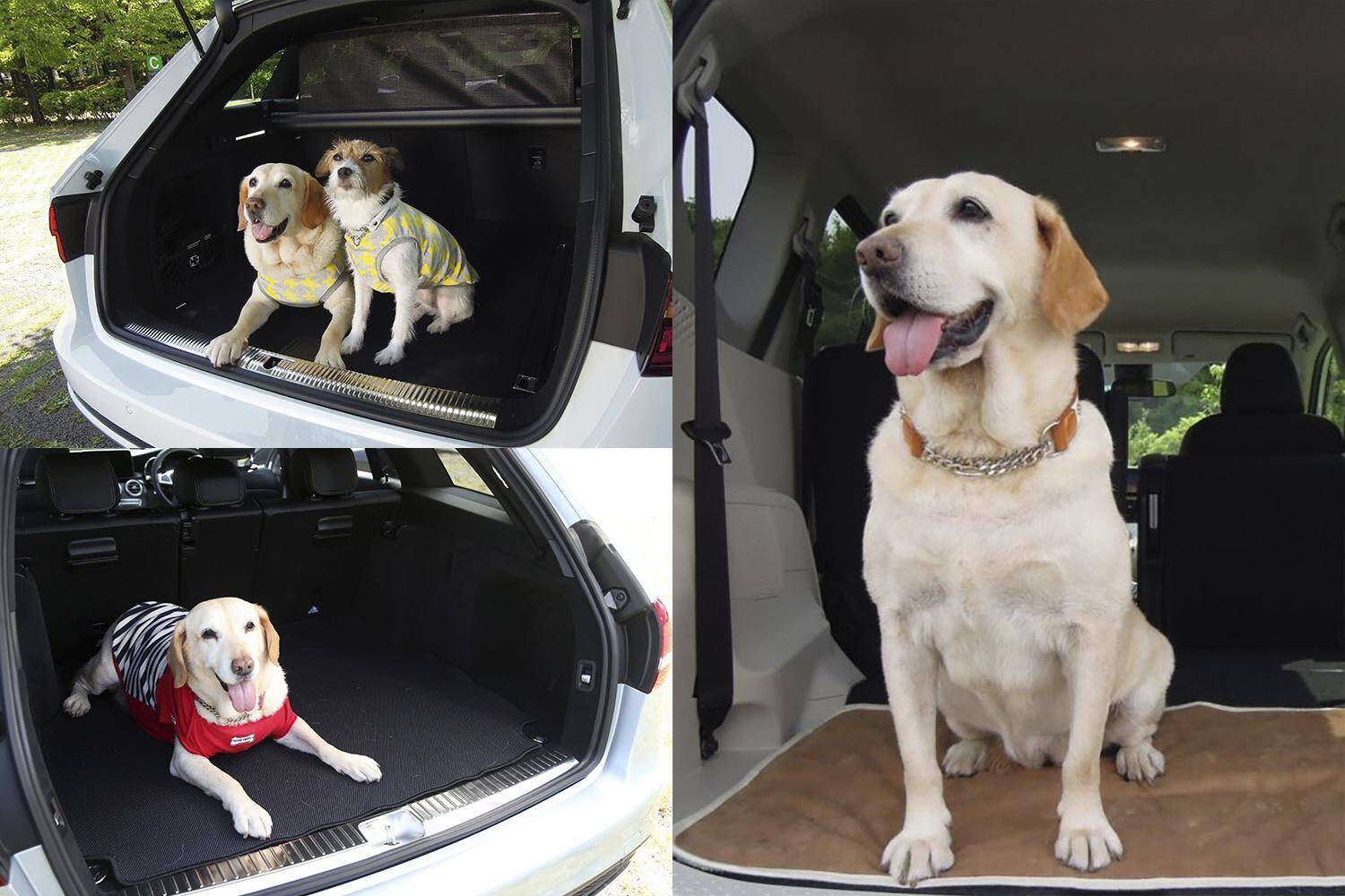 ゴルフバッグじゃピンとこない！　リットルだけじゃわからない！　いまどきのクルマの荷室の広さは何で表現するのが正解？