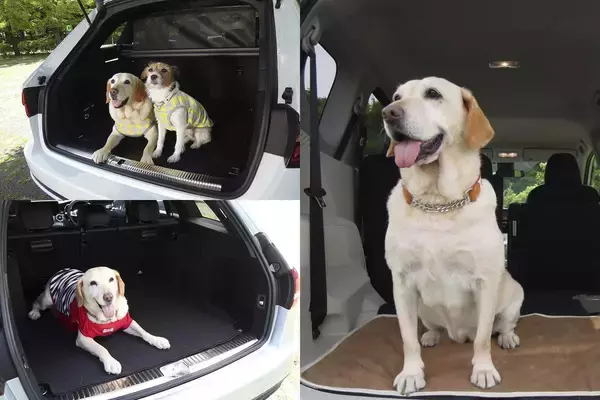 「ゴルフバッグじゃピンとこない！　リットルだけじゃわからない！　いまどきのクルマの荷室の広さは何で表現するのが正解？」の画像