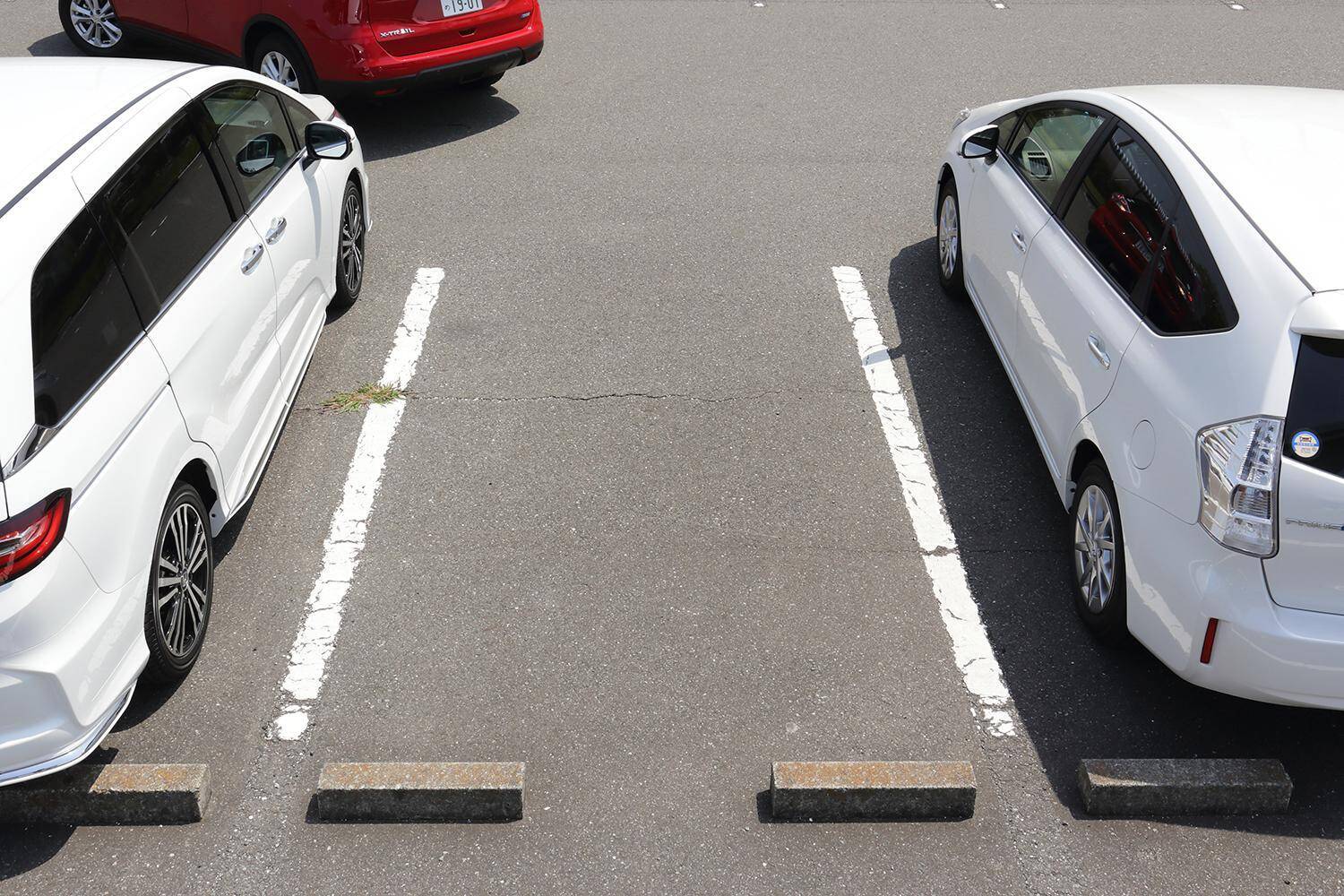 初心者は どういう意味 とパニックに 教習所では教えてくれないマナーと忘れがちなルール５つ 22年1月2日 エキサイトニュース 3 3