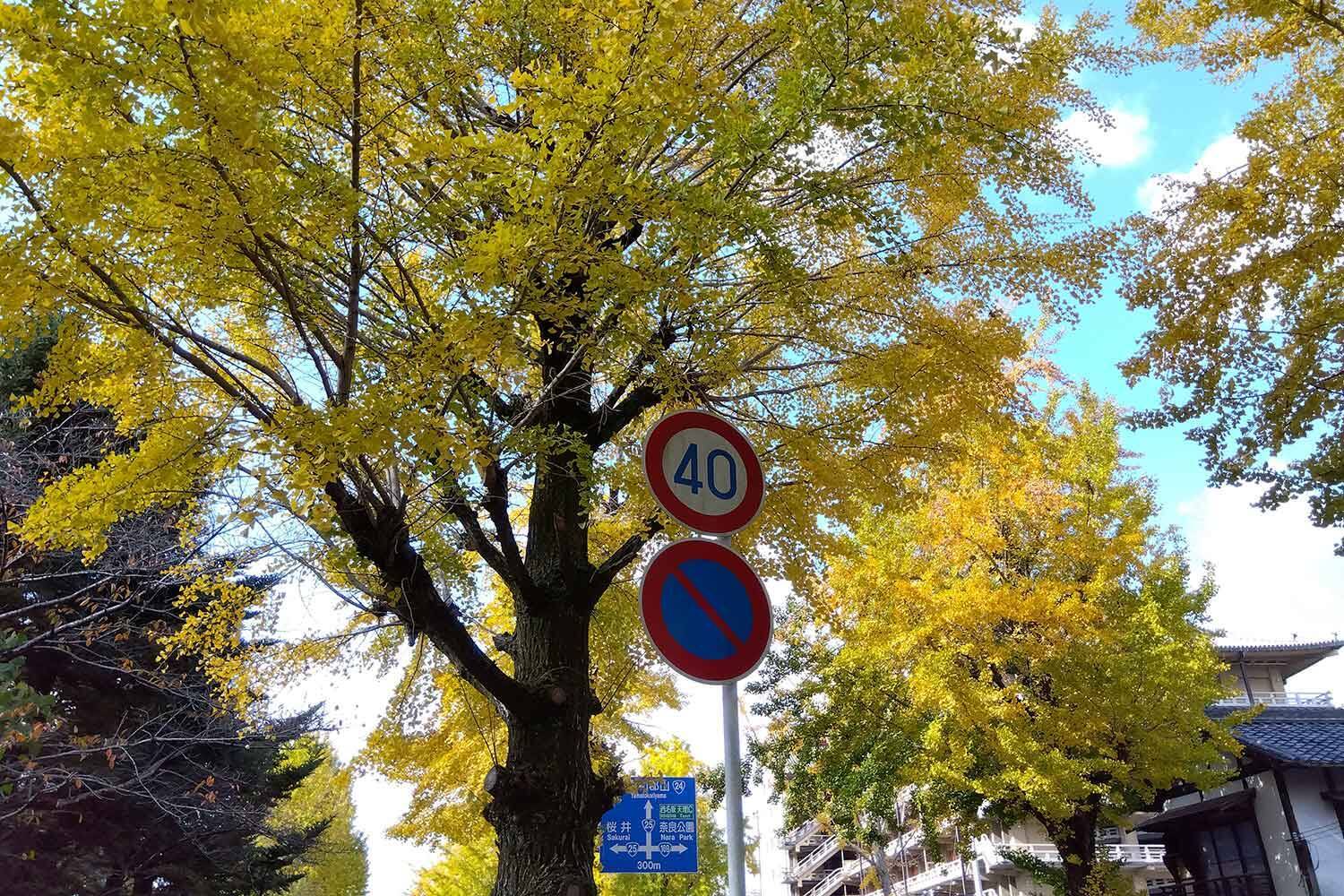 道路にステッカーを貼り付け！　植木鉢や猫よけのペットボトルを置く！　罰則のある違法行為になる可能性が大だった