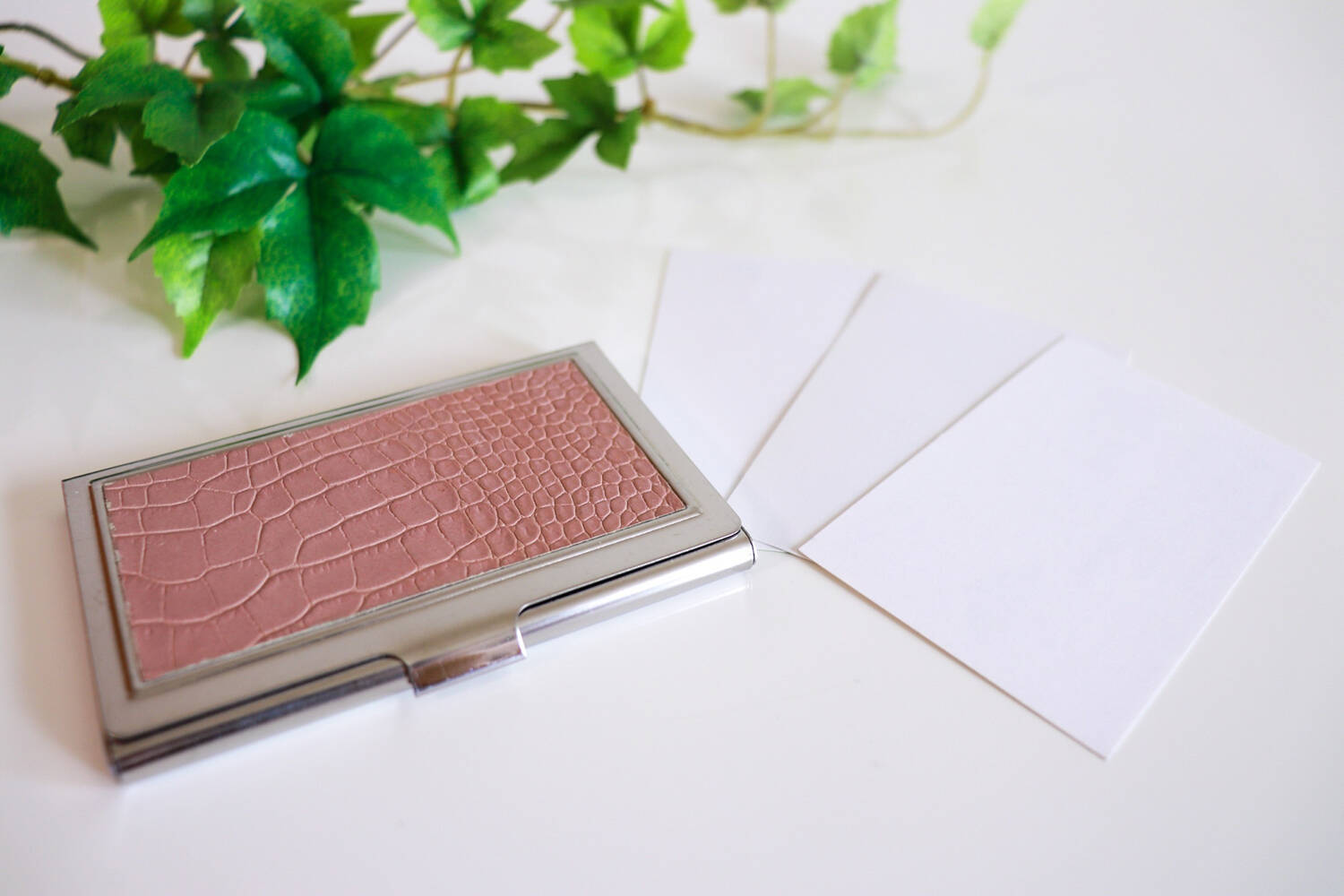 「ハイテク車検証入れ」に「色付き免許証」！　オシャレ上級者が「手を出す」クルマ関連グッズ５つ