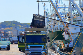 魚が獲れなかったから荷室がスキマだらけ……はもったいない！　いま物流の無駄をなくす「スキマシェア」が始まっていた