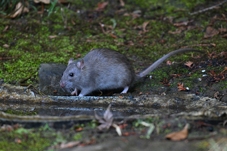大都会の道路脇に謎のブラックボックスを多数発見！　怪しげな箱の中身とは？