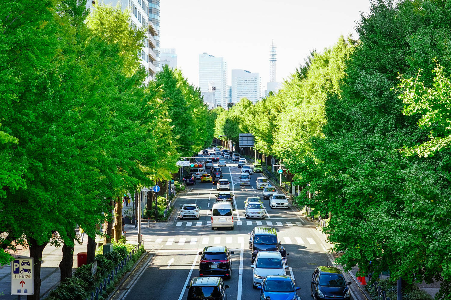 結構いるクルマに乗りたいけどドコ行けば……な悩み！　ぼっちオーナーでも楽しめる「テーマドライブ」のすすめ