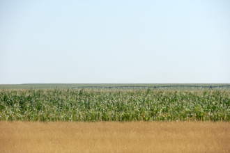 コメ価格安定のためには安定した生産が大切！　「農業はロボが変えるぜ」精神のスタートアップ企業に期待!!