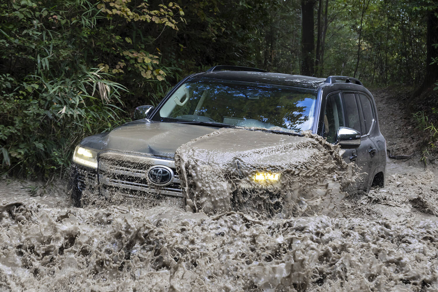 カーボンニュートラル？　わかっちゃいるけどヤメられない！　まだまだ日本はガソリンエンジン車が元気だぞ