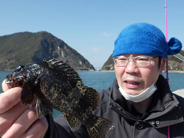 日本全国 釣り行脚 ムラソイ 熊本県宇城市 三角西港産 21年3月14日 エキサイトニュース