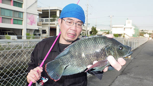 ティラピア 沖縄県沖縄市 泡瀬の水路産 日本全国 釣り行脚 21年4月4日 エキサイトニュース