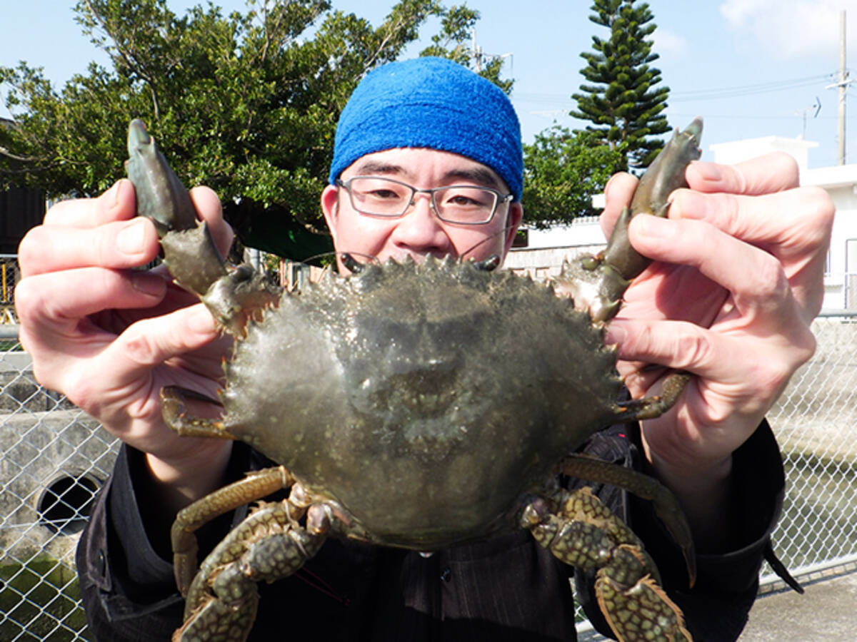 アミメノコギリガザミ 沖縄県沖縄市 泡瀬の水路産 日本全国 釣り行脚 21年4月11日 エキサイトニュース