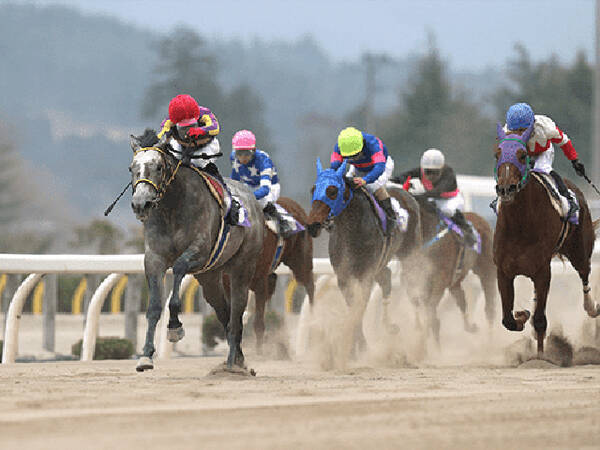 わくわく 地方競馬 情報 第35回東京プリンセス賞 第66回羽田盃 第1回若潮スプリント 21年4月24日 エキサイトニュース