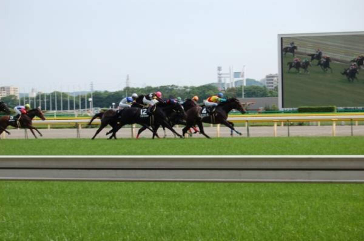 わくわく地方競馬 スペシャルインタビュー 御神本訓史騎手 大井競馬 後編 18年1月18日 エキサイトニュース