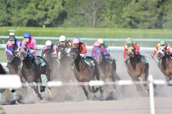 わくわく地方競馬 2018年12月29日 エキサイトニュース