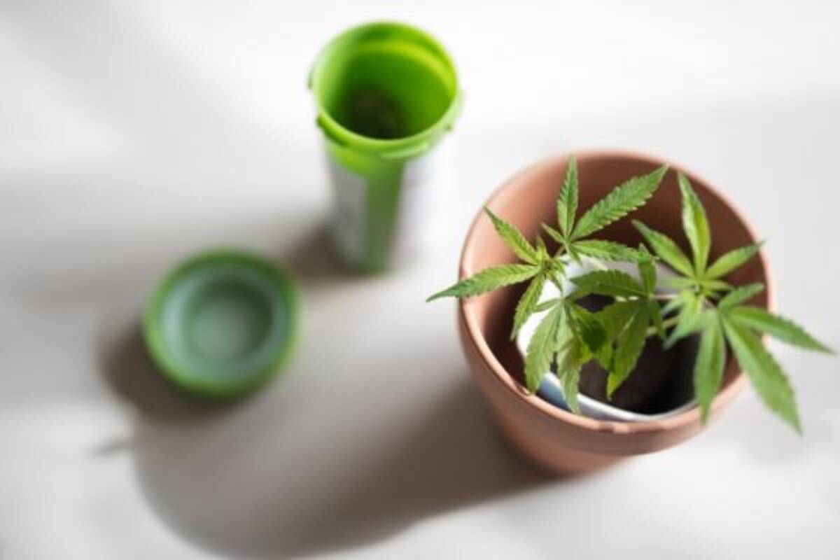 外国製チョコ 大麻 混入でダンス同好会の中高年7人緊急搬送 2019年4月3日 エキサイトニュース
