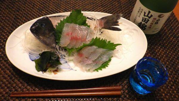 釣れた魚と旨い酒 日本全国釣り行脚 兵庫県 垂水一文字産メジナ グレ 19年12月7日 エキサイトニュース