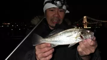 釣れた魚と旨い酒 日本全国釣り行脚 静岡県下田 まどが浜海遊公園産シロギス 19年6月22日 エキサイトニュース