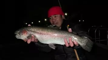 釣れた魚と旨い酒 日本全国釣り行脚 静岡県下田 まどが浜海遊公園産シロギス 19年6月22日 エキサイトニュース