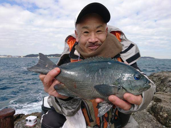 釣れた魚と旨い酒 日本全国釣り行脚 神奈川県久里浜沖 アシカ島産メジナ 年3月14日 エキサイトニュース