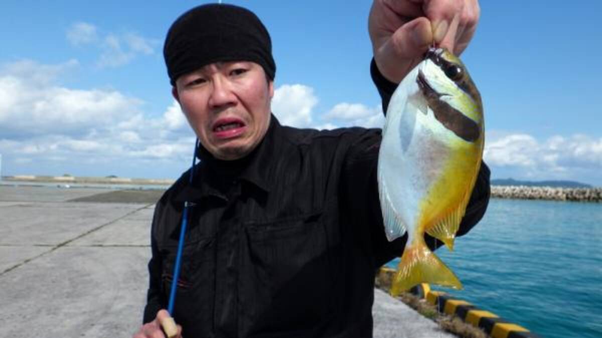 釣れた魚と旨い酒 日本全国釣り行脚 沖縄県竹富島 竹富港産ヒメアイゴ 年4月4日 エキサイトニュース