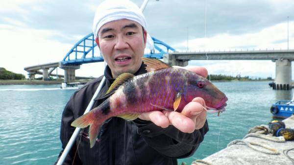 釣れた魚と旨い酒 日本全国釣り行脚 沖縄県石垣島 登野城漁港産オジサン 年4月11日 エキサイトニュース