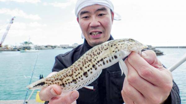 釣れた魚と旨い酒 日本全国釣り行脚 沖縄県石垣島 登野城漁港産 オグロトラギス 年4月18日 エキサイトニュース