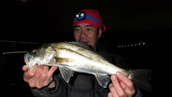 釣れた魚と旨い酒 日本全国釣り行脚 神奈川県横浜市 鶴見川産スズキ 年5月23日 エキサイトニュース