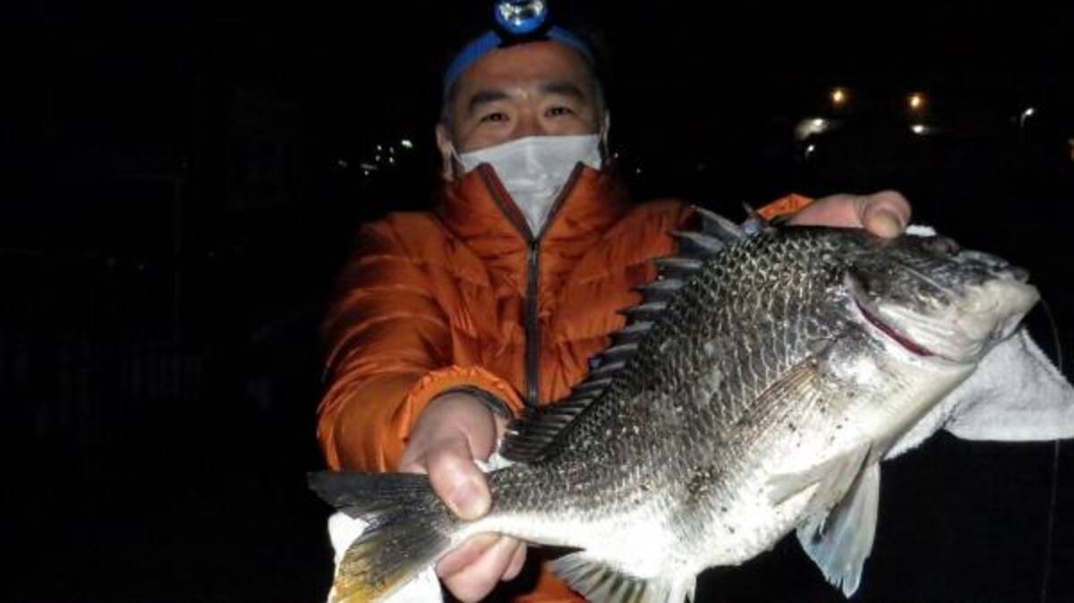 釣れた魚と旨い酒 日本全国釣り行脚 神奈川県横浜市 鶴見川産キチヌ 年5月30日 エキサイトニュース