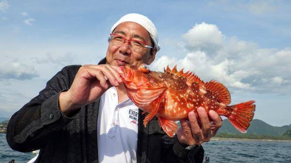 釣れた魚と旨い酒 日本全国釣り行脚 静岡県沼津沖産ウッカリカサゴ 年6月日 エキサイトニュース